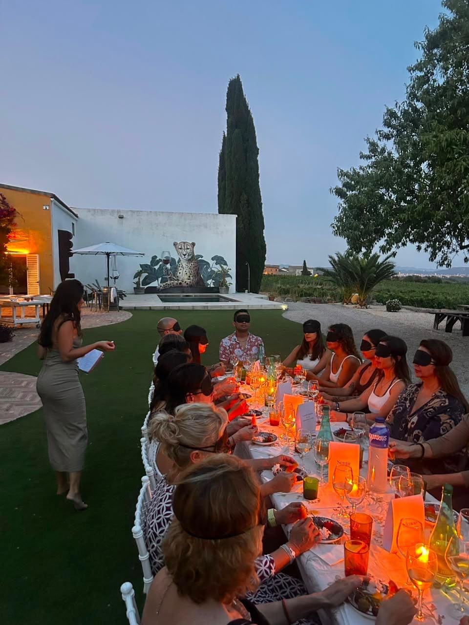 Brindis y cata al atardecer en el Penedès