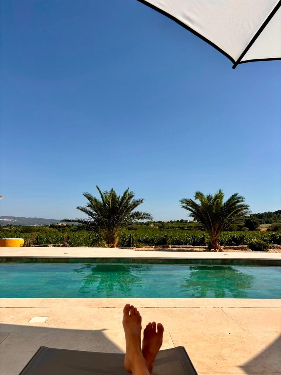 Relax en la piscina