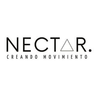 Nectar — colaborador de Momentos